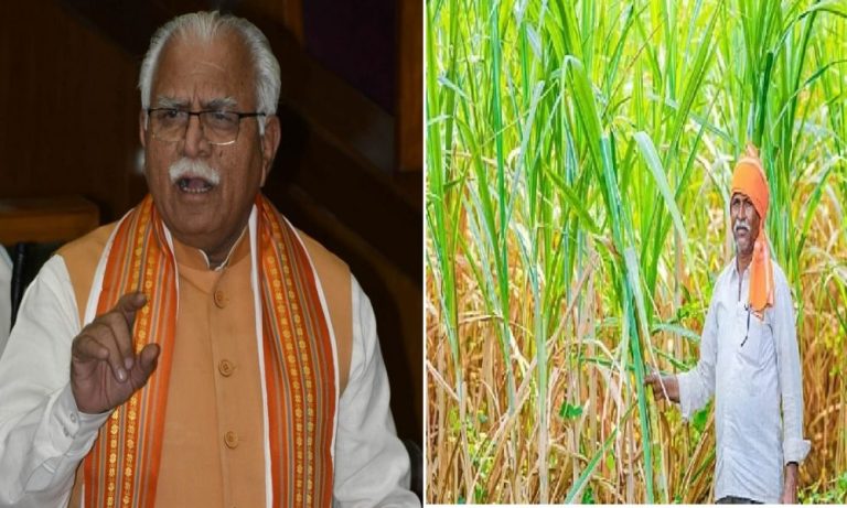 Haryana सरकार ने गन्ना किसानों को दिया दिवाली का तोहफा, नए साल से 400 रुपये क्विंटल होगी कीमत