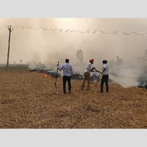 कृषि विभाग ने प्रदूषण से लड़ने के लिए खेतों में अग्निशामकों का किया इस्तेमाल किया