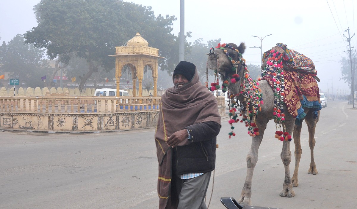 राजस्थान में ठंड का कहर जारी, कड़ाके की ठंड और कोहरे से जनजीवन प्रभावित