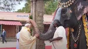 तमिलनाडु के रंगनाथस्वामी मंदिर पहुंचे पीएम, गुड़ खिलाकर लिया गजराज का आशीर्वाद