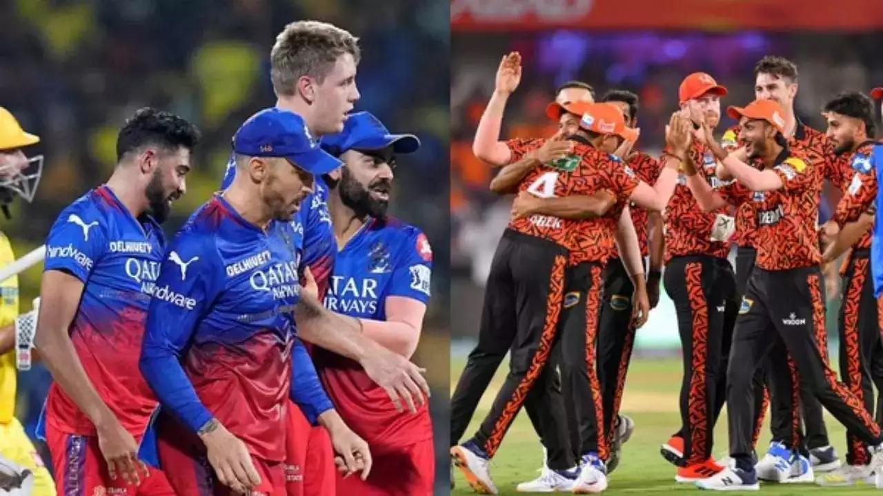 आज रॉयल चैलेंजर्स बेंगलुरु और सनराइज़र्स हैदराबाद की टीमें होंगी आमने-सामने, जानिए क्या हो सकती हैं दोनों टीमों की सम्भावित-11