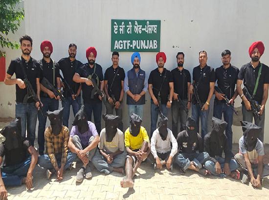 पंजाब पुलिस ने गैंगस्टर चरणजीत सिंह गिरोह के 11 सदस्यों को किया गिरफ्तार, भारी मात्रा में गोला-बारूद बरामद