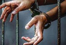 ड्रग तस्करों पर पंजाब पुलिस की बड़ी कार्रवाई, 1 किलो हेरोइन और ड्रग मनी समेत 88 तस्कर गिरफ्तार पंजाब पुलिस