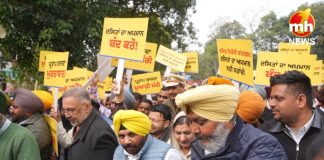 Punjab : बाजवा को विवादित टिप्पणी करना पड़ा महंगा, पंजाब SC ने किया तलब, कल तक मांगा जवाब… Harbhajan Singh ETO