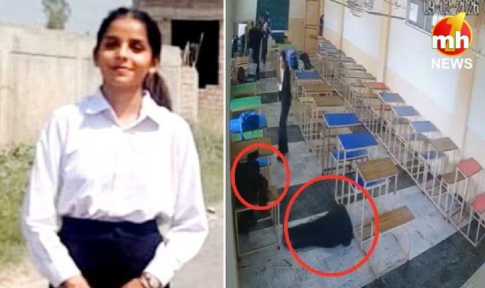 law student murder case