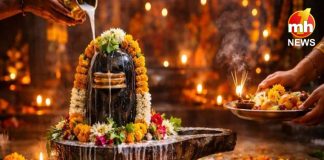 महाशिवरात्रि पर भूलकर भी न करें ये गलतियां, तभी आप पर होगी भगवान शिव की कृपा… Mahashivratri