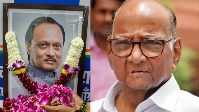 News Article Hero Image