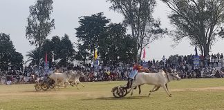 Punjab: 12 साल बाद बैलगाड़ी दौड़ें फिर से शुरू होना ऐतिहासिक मील का पत्थर: स्पीकर कुलतार सिंह संधवां