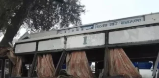 Punjab : घने कोहरे के कारण बड़ा सड़क हादसा, 7 यात्री घायल, इलाज का पूरा खर्च उठाएगी बस कंपनी