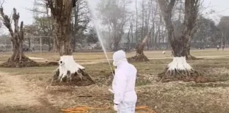 Bihar में बर्ड फ्लू ने दी दस्तक, खतरे में आए सैंकड़ों कौवे…