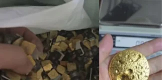 पुराने सिम कार्ड से सोना निकालने का कारनामा, चीनी शख्स का Video Viral