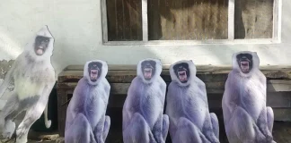 राष्ट्रपति मुर्मू