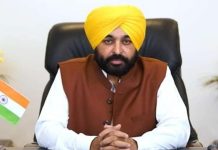 अमृतसर में उत्साह के साथ मनाई गई होली, CM भगवंत सिंह मान ने दी प्रदेशवासियों को शुभकामनाएं CM भगवंत सिंह मान