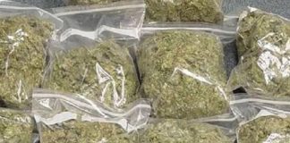 NCB की बड़ी कार्रवाई, नागपुर से 210 किलो गांजा समेत 4 आरोपी गिरफ्तार NCB