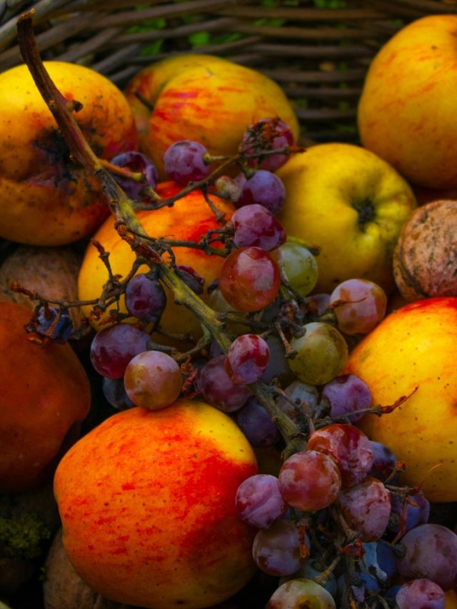 गर्मी के मौसम में Dehydration से बचने के लिए रोजाना खाएं ये 3 फल