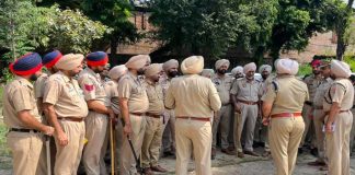 पंजाब में नशे पर पुलिसा का बड़ा एक्शन, भारी मात्रा हेरोइन-गांजा समेत 118 तस्कर गिरफ्तार पंजाब