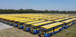 पनबस-PRTC को मिली रफ्तार सीएम मान ने 250 नई बसों को दिखाई हरी झंडी… PRTC
