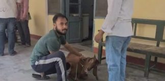 बकरीद से पहले यूपी में बकरों की तबीयत बिगड़ी, अस्पतालों में लगी भीड़ Bakrid