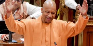 Yogi Cabinet