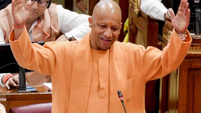 Yogi Cabinet