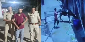 गाय को डंडे से पीटने वाले यूनुस का वीडियो वायरल, पुलिस एक्शन के बाद हाथ जोड़कर मांगी माफी