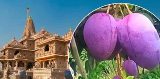 श्री राम लला