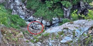 हिमाचल के चंबा में खतरनाक हादसा, गहरी खाई में गिरी पर्यटकों से भरी टैक्सी, 9 लोगों की मौत Himachal