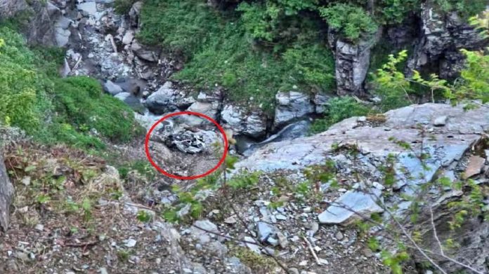 Himachal