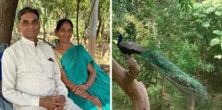 bird sanctuary