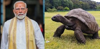PM Modi