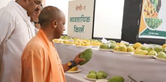 CM Yogi