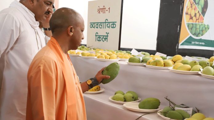 CM Yogi