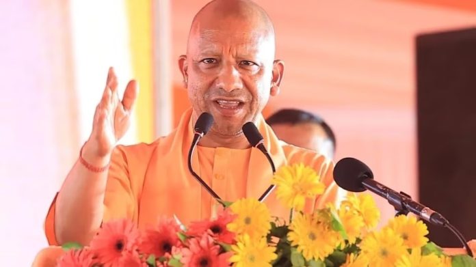 Yogi Cabinet