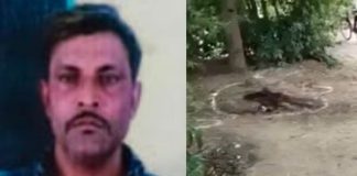 कौन था UP STF के एनकाउंटर में ढेर हुआ आसिफ उर्फ विक्की? 4 राज्यों की पुलिस को थी तलाश UP STF
