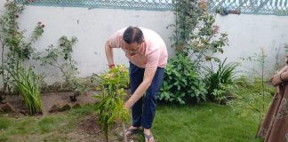 CM Dhami