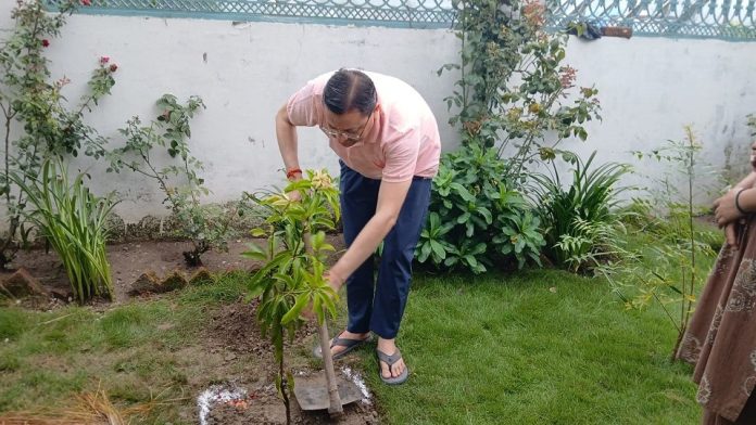 CM Dhami