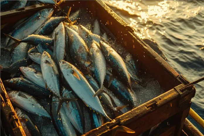 Fish farming