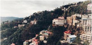 Shimla
