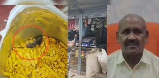 कानपुर में ब्रांडेड नमकीन के पैकेट में मिला मरा हुआ चूहा, फूड सेफ्टी विभाग ने जांच की शुरू