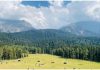 Pahalgam
