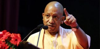 Yogi Government