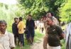 कानपुर