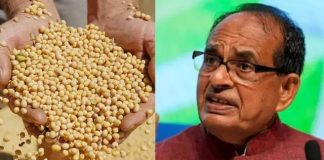 ‘सीड एक्ट’ लाने की तैयारी में केंद्र सरकार, केंद्रीय कृषि मंत्री शिवराज सिंह चौहान करेंगे बैठक Seed Act