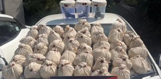 होंडा सिटी में छिपी थी करोड़ों की हेरोइन! फरीदकोट पुलिस ने 4 तस्करों को दबोचा, 3 पिस्टल बरामद Faridkot police