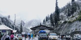 Himachal Rain